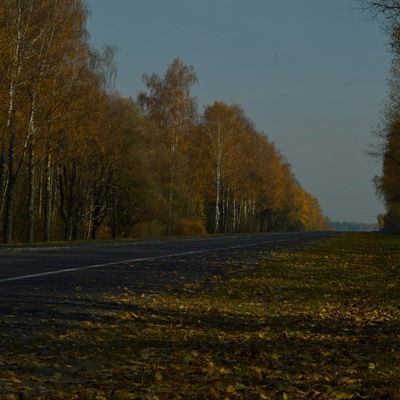 Катя Кузнецова