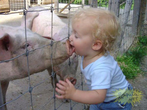 Анна Толстых