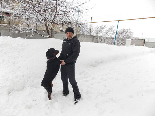 Дмитрий Прасолов