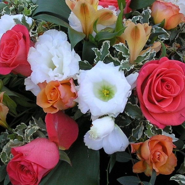 Ирина Виноградова