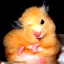 Евгений Лопатин