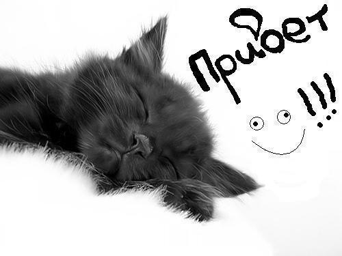 Ольга Субботина