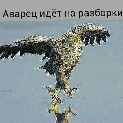 Раджаб Батыров