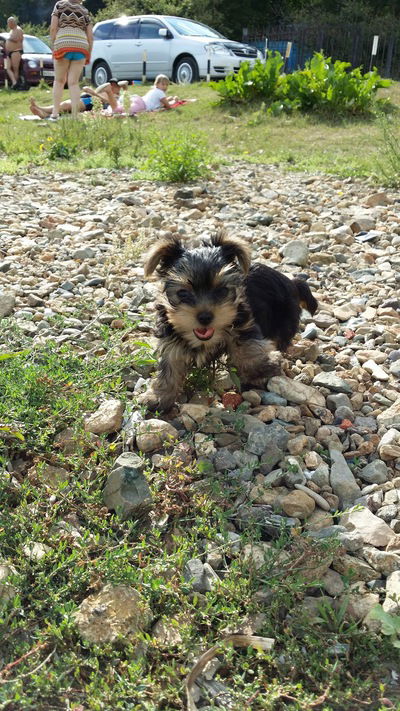 Артем Колганов