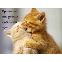 Виталя Бояркин