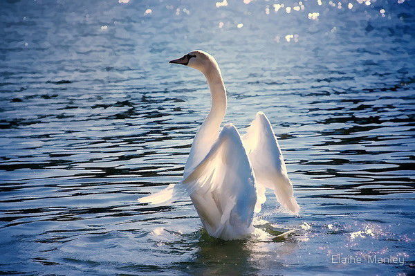 Татьяна Чепурнова