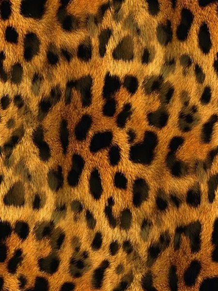 Анастасия Мельхерт