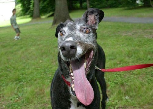 Евгений Лапаев