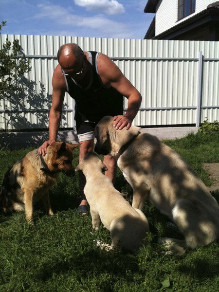 Кутузов Виктор