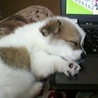 Татьяна Тимонен