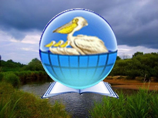 Лельчицкая Гимназия Лельчицкая Гимназия