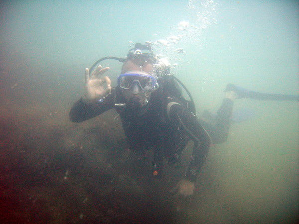 Печаткин Алексей