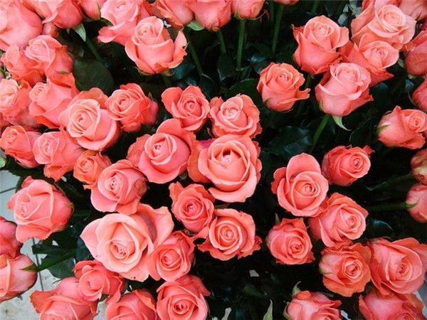 Лилия Назаренко