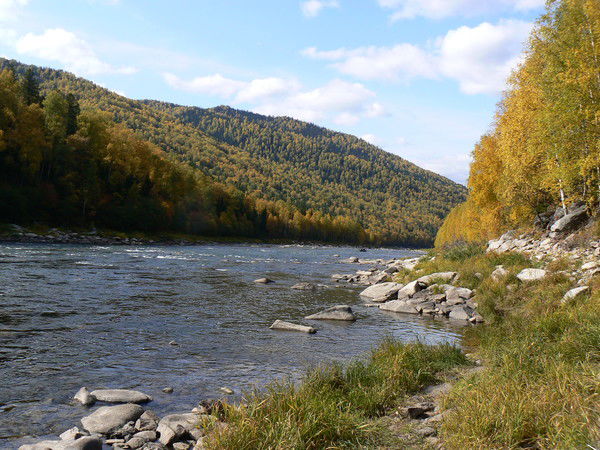 Ирина Шигалова