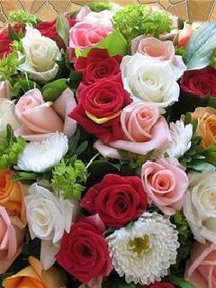 Айзада Акматовна Бабалиева