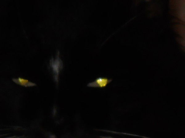 Денис Титов