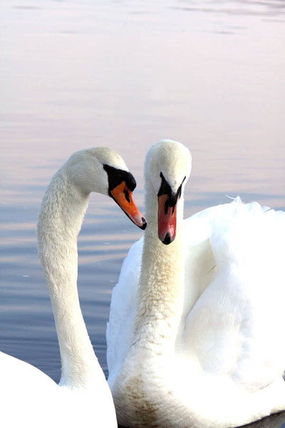 Блинова Анастасия