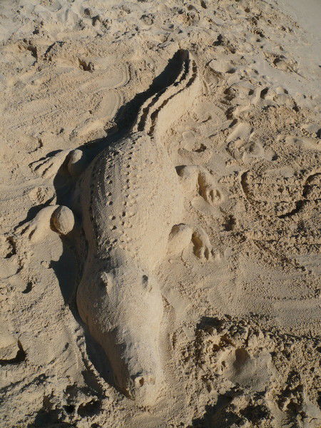 Татьяна Соковикова