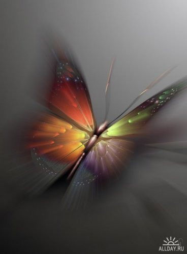 Наталья Каплина