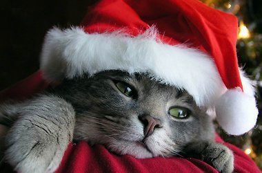 Татьяна Водян