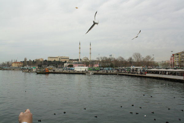 Ленимар Бекиров