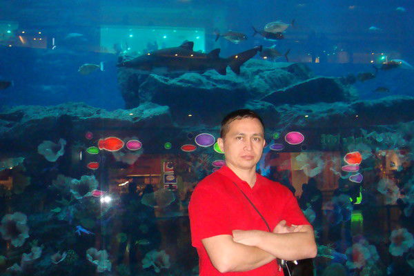 Александр Димитриев