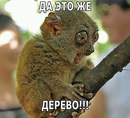 Денис Калинин