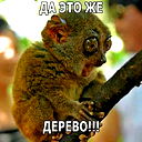 Денис Калинин