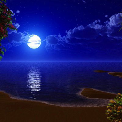 Тынчтык Самудинов