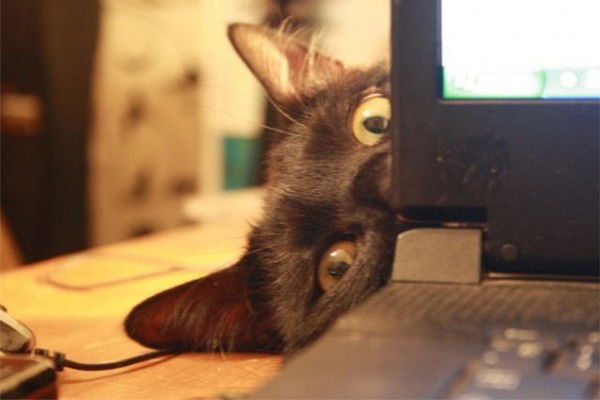 Станислав Саленко