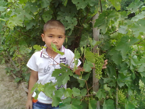 Бижамал Тусекенова