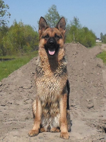 Дмитрий Теслюк