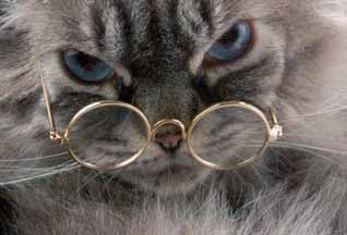 Александр Александров