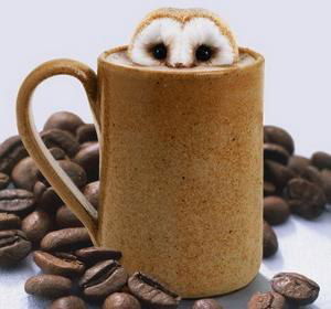 Ирина Пакиш