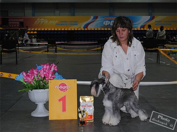 Елена Петренко