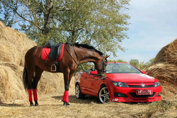 ***shymbolat Krasavchik***