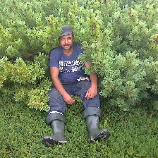 Максим Сушков