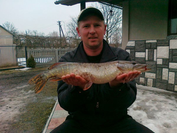 Дмитро Сідельник