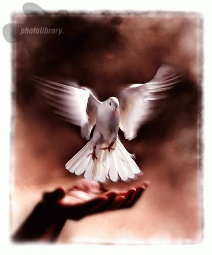 Наташа Зверева