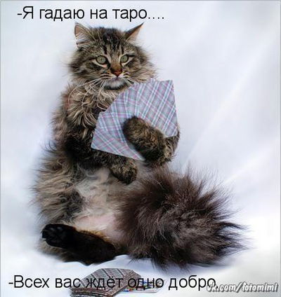 Лилия Халикова