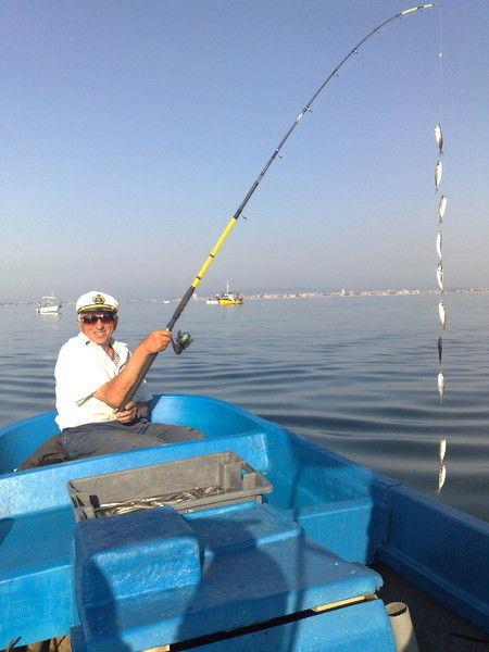 Владимир Сес