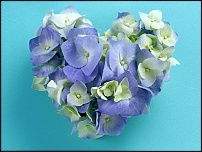 Наталья Петрова