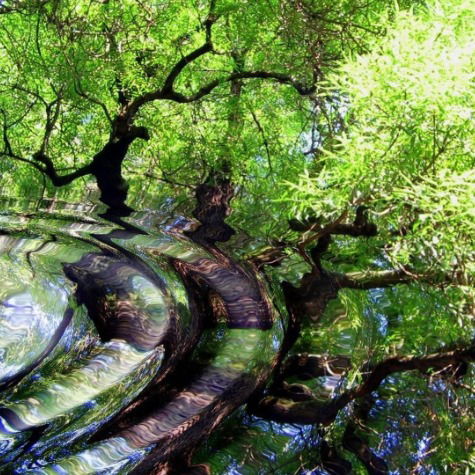 Юля Чучунова