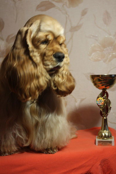 Цветик Семицветик