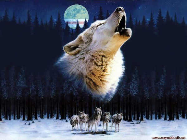 Просто Серега