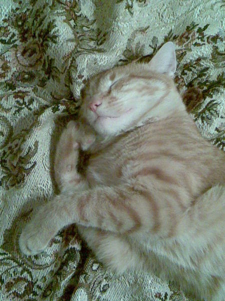 Лилия Гулиева