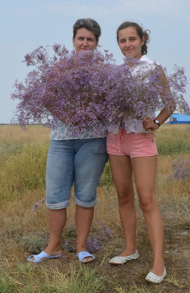 Елена Сокольчук