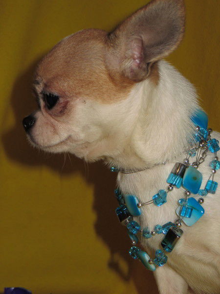 Анжелика Киртоакэ