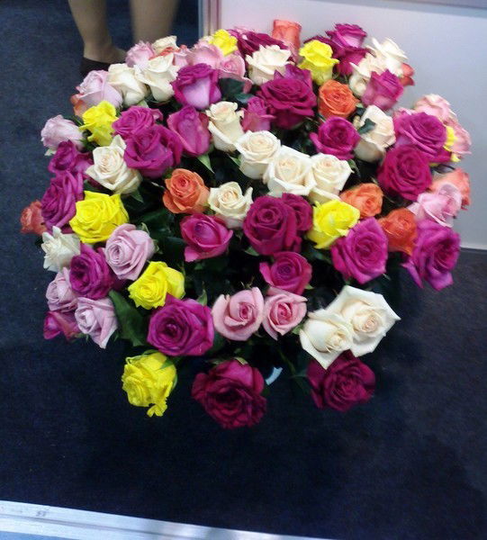 Шынар Унгарбаева