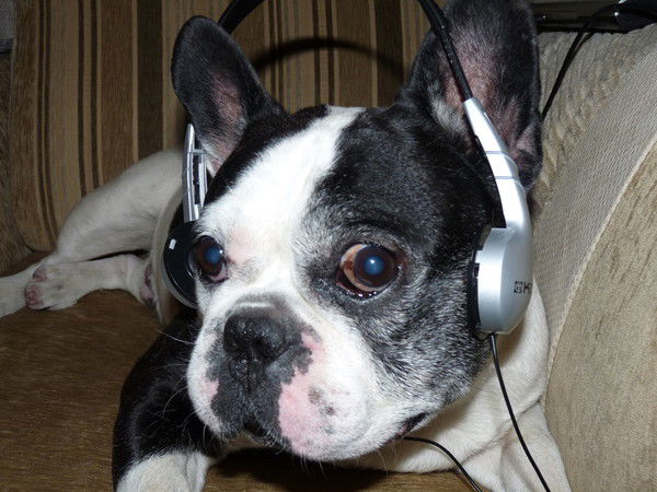 Владислав Нижегородов